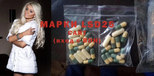стаф Горнозаводск