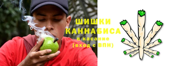 тгк Горно-Алтайск