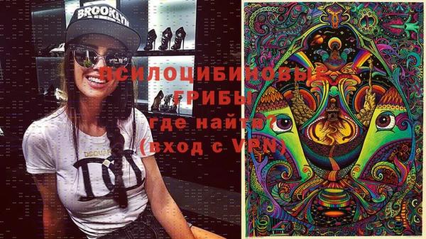 тгк Горно-Алтайск
