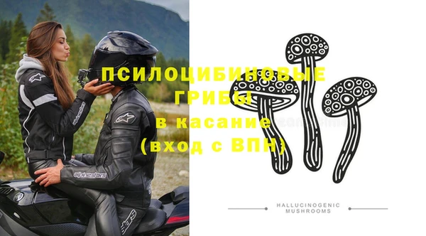 тгк Горно-Алтайск
